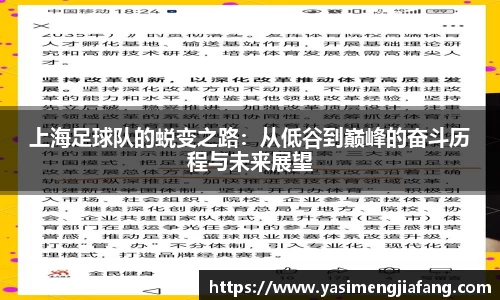 上海足球队的蜕变之路：从低谷到巅峰的奋斗历程与未来展望
