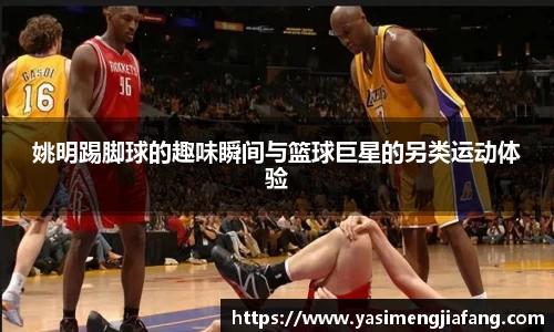zoty中欧