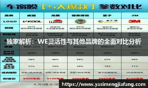独家解析：WE灵活性与其他品牌的全面对比分析