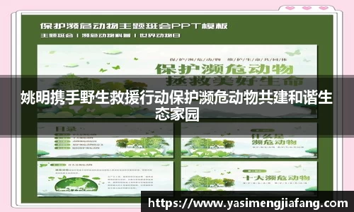 zoty中欧