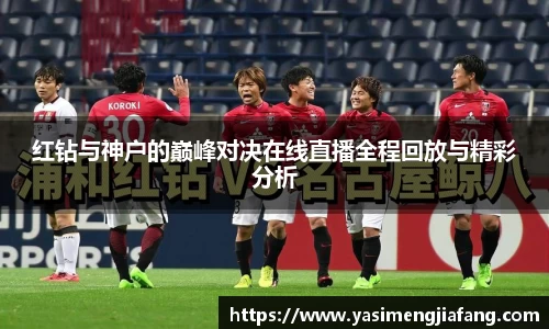 红钻与神户的巅峰对决在线直播全程回放与精彩分析