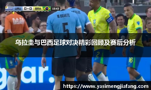 zoty中欧