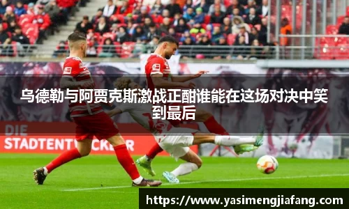 zoty中欧官网