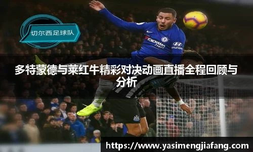 多特蒙德与莱红牛精彩对决动画直播全程回顾与分析