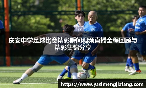 zoty中欧官网