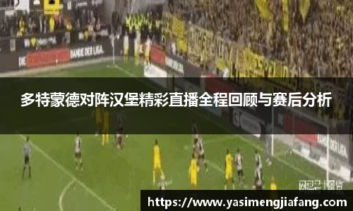 zoty中欧